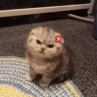 😠 emoji котики Telegram sticker 6 of 34