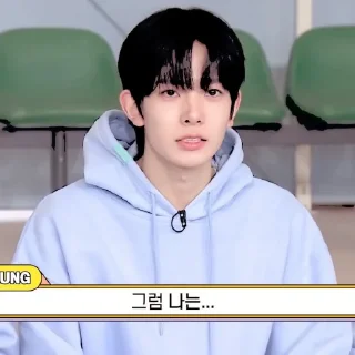 ☘ emoji ꜝꜞ ᳝ ࣪ % HEESEUNG› ࣪ ˖ ⌕ ; @jjxlie30 Telegram sticker 18 of 28