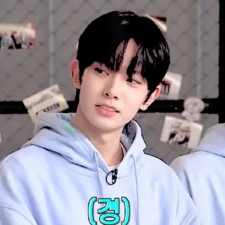 Sticker from ꜝꜞ ᳝ ࣪ % HEESEUNG› ࣪ ˖ ⌕ ; @jjxlie30
