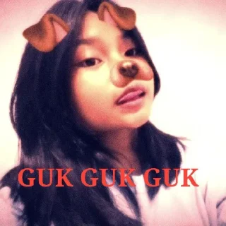 🐶 emoji muka kaya kontol Telegram sticker 20 of 20