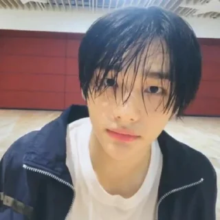 ☠ emoji Matthew as Hyunjin Telegram sticker 14 of 43