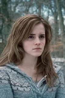 👊 emoji hermione Telegram sticker 9 of 28