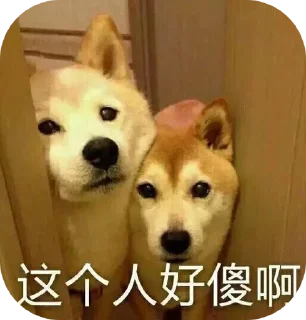 🤔 emoji 高速代理 @hgwzcd Telegram sticker 8 of 101