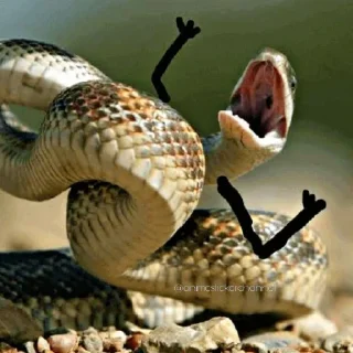 😡 emoji SNAKES @animestickerchannel Telegram sticker 16 of 60