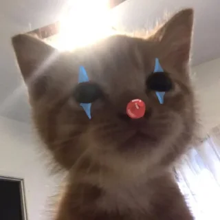 🤡 emoji rere mood's Telegram sticker 9 of 54