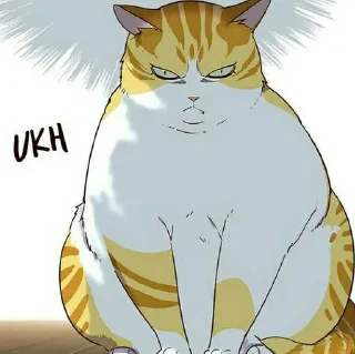 🐱 emoji Kaiden @stiker_webtoon Telegram sticker 15 of 30