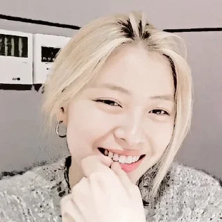 🍜 emoji @JNNIES096 RYUJIN Telegram sticker 13 of 94