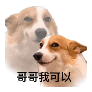 😄 emoji 修狗の表情包 Telegram sticker 18 of 18