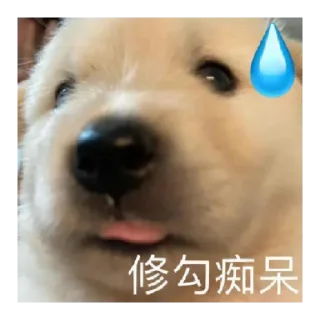 😄 emoji 修狗の表情包 Telegram sticker 12 of 18