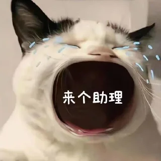 Sticker from 来个助理吧~ @zhulididi