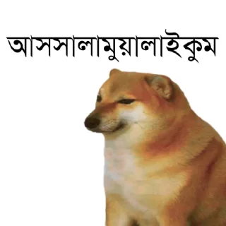 Sticker from DogePack @charkafahim Vol. 1