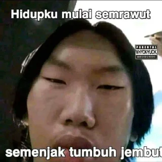 Sticker from Kontol