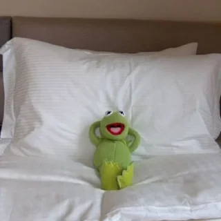 🐸 emoji KERMIT NYA NEPA 😡 [⋆.*ೃ@ryuddaegucci] Telegram sticker 10 of 78