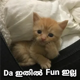 Sticker from •ᴀɴᴏɴʏᴍᴏᴜs • 9