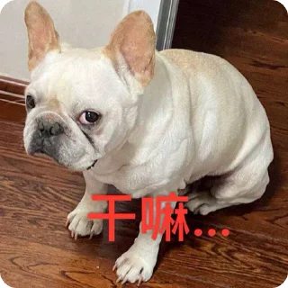 正版浪新 @langxintv sticker 4