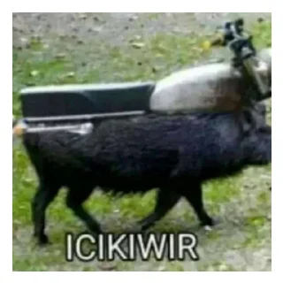 Sticker from Lawak dikit