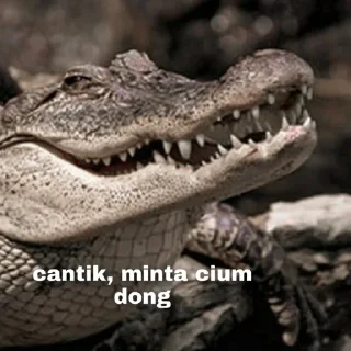 🐊 emoji Peliharaan Drexon - By @FVCK00PRIDE Telegram sticker 12 of 15