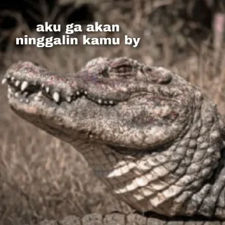 🐊 emoji Peliharaan Drexon - By @FVCK00PRIDE Telegram sticker 14 of 15
