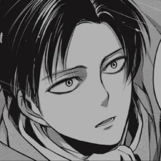 Sticker from Levi ackerman