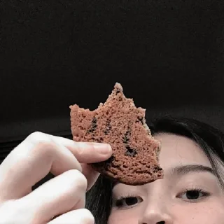 🍪 emoji nonchara rpi @sunxflowerss Telegram sticker 17 of 17