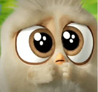 Sticker from Angry birds@Bad_Boys_Stickers