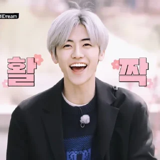 Sticker from @CHOCOJJAE as Jaemin