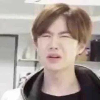 🤨 emoji Yibo Telegram sticker 13 of 13