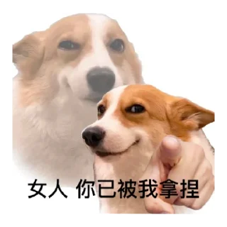 😄 emoji 修狗の表情包 Telegram sticker 17 of 18