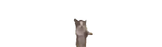 😹 emoji 𔘓 𝒉𝒆𝒏 Telegram sticker 8 of 50