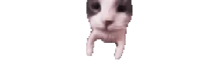 🐈 emoji 𔘓 𝒉𝒆𝒏 Telegram sticker 11 of 50