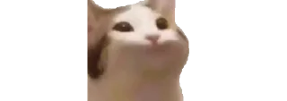 🐈 emoji 𔘓 𝒉𝒆𝒏 Telegram sticker 9 of 50