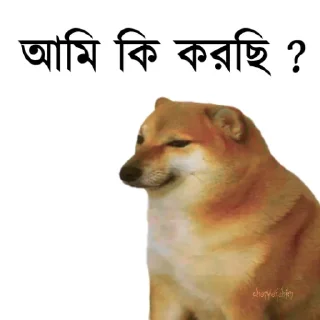 👀 emoji @TanvirAhmed_555 DogePack Telegram sticker 18 of 68