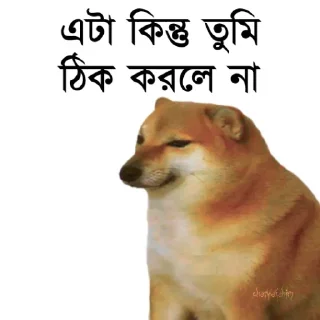 👀 emoji @TanvirAhmed_555 DogePack Telegram sticker 9 of 68