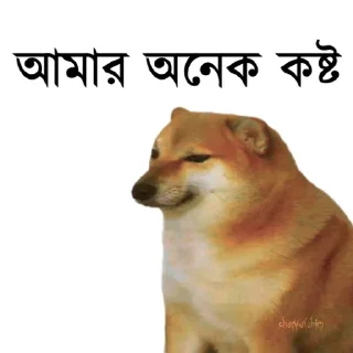👀 emoji @TanvirAhmed_555 DogePack Telegram sticker 6 of 68