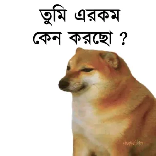 👀 emoji @TanvirAhmed_555 DogePack Telegram sticker 17 of 68