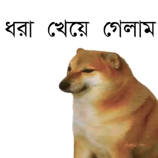 👀 emoji @TanvirAhmed_555 DogePack Telegram sticker 13 of 68