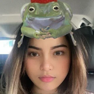 🦕 emoji nonchr ; @vidbarfotbarrp Telegram sticker 20 of 50