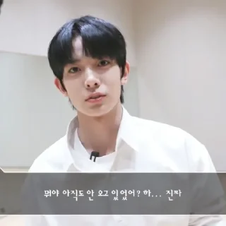 Sticker from ꜝꜞ ᳝ ࣪ % HEESEUNG› ࣪ ˖ ⌕ ; @jjxlie30