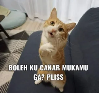 ☺️ emoji abstrak kya muka Telegram sticker 24 of 31