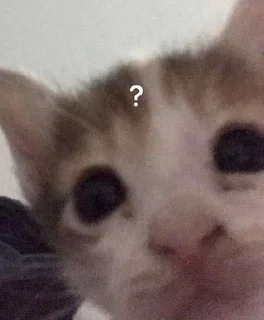 ❓ emoji котики Telegram sticker 10 of 34