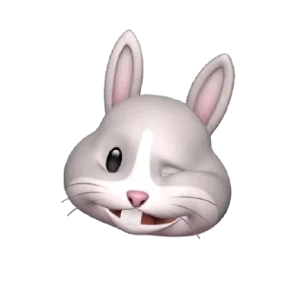🐰 emoji @flauriesh Telegram sticker 13 of 15