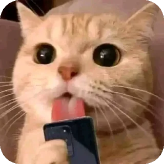 😺 emoji AwokAwok 🪓🙂🛡 Telegram sticker 19 of 120