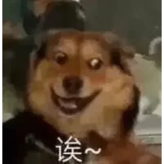 Sticker from 江小壶的大想法