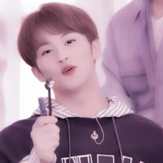 🍉 emoji +:‧₊ mark lee @stickernct Telegram sticker 20 of 30