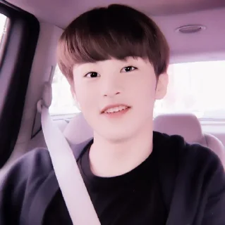 🍉 emoji +:‧₊ mark lee @stickernct Telegram sticker 10 of 30