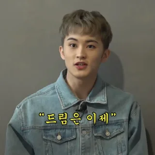 🐯 emoji ✪ mark lee by @stickernct Telegram sticker 13 of 25