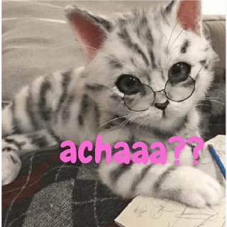🤨 emoji Innocent billi Telegram sticker 12 of 16