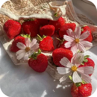 🍲 emoji Strawberry by @luv_bear Telegram sticker 5 of 14