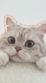Sticker from Meow | @Moi_cats | @nikhil_1111