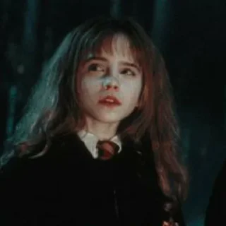😂 emoji Hermione @VayzinGranger Telegram sticker 11 of 32